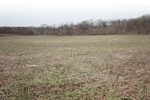 Property photo 17 - ABSOLUTE AUCTION - 298 Acres Offered in 4 Tracts